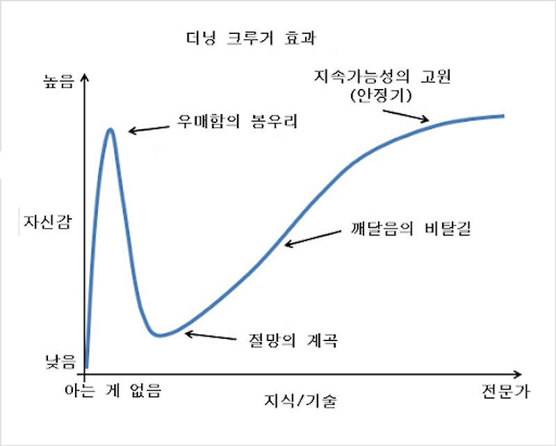 더닝-크루거 효과(Dunning - Kruger effect) — Simple knowledge