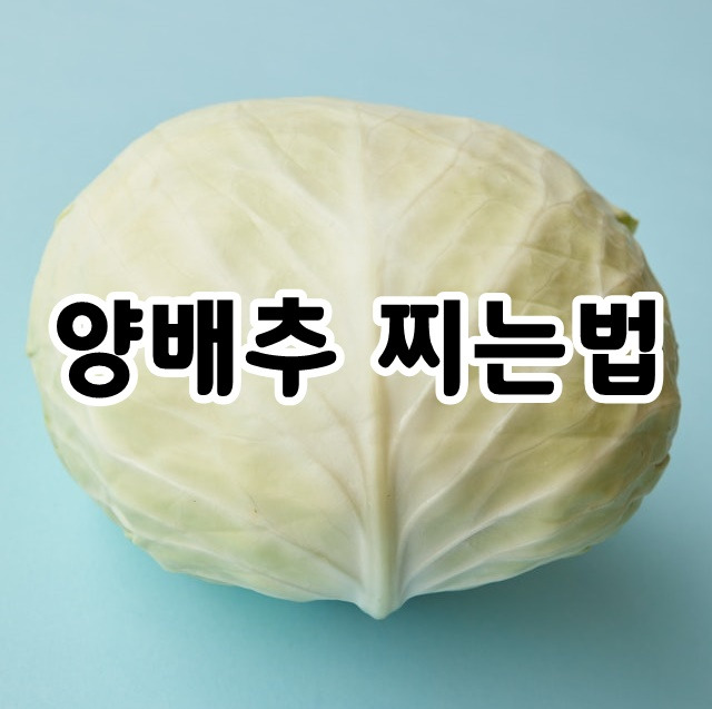 양배추 삶기 간단하고 맛있게 찌는 방법