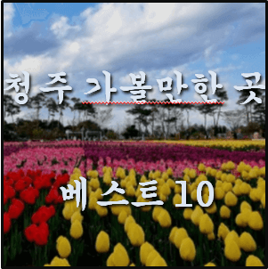 청주 가볼만한 곳 베스트10 (감성 가득한 대표적인 곳들)