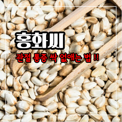 홍화씨 효능과 부작용, 먹는법