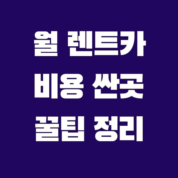 월(한달) 렌트카 비용 싼곳 알아보는 5가지 꿀팁 완벽정리 - 타지마할의 인포나라