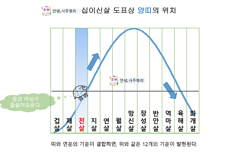 2022년 임인년 양띠 운세