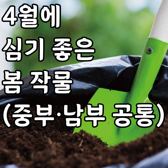 4월 텃밭작물 파종시기