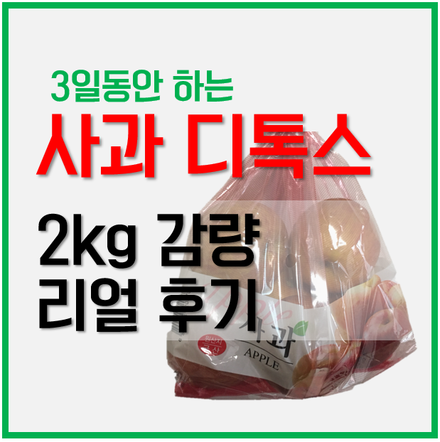 3일 사과 다이어트 사과 디톡스로 독소 배출 (2kg 감량 리얼리뷰)