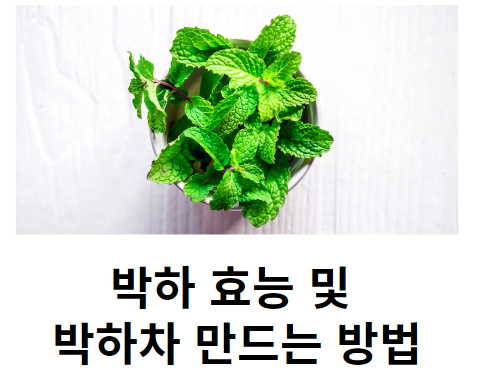 박하 효능 및 박하차 만드는 방법