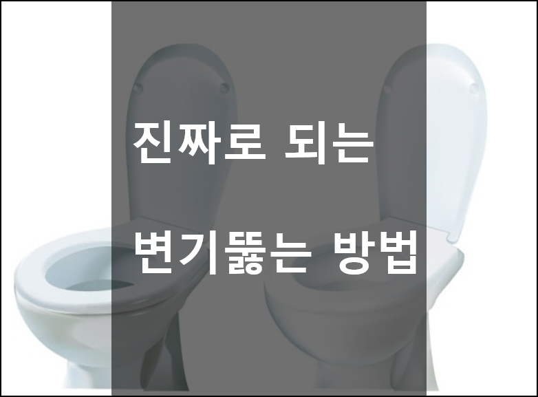 막힌 변기 뚫는 방법 - 경험으로 쓰는 정말로 뚫리는 방법들