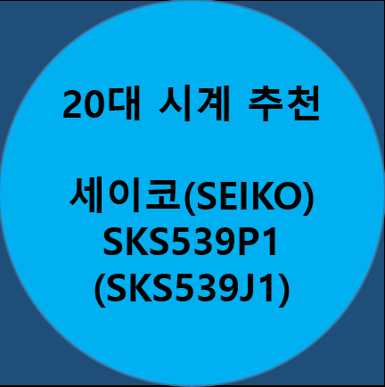 20대 남성 시계 브랜드 순위 :: 세이코(SEIKO) SKS539P1 (SKS539J1)