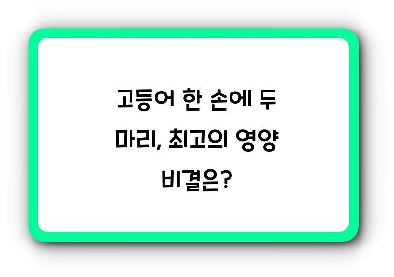 고등어 한 손에 두 마리, 최고의 영양 비결은?