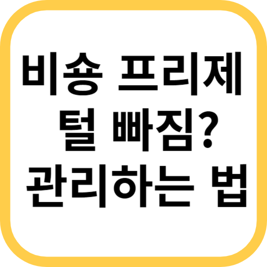 [비숑 프리제] 강아지 털 빠짐! 예쁜 털 관리하는 방법