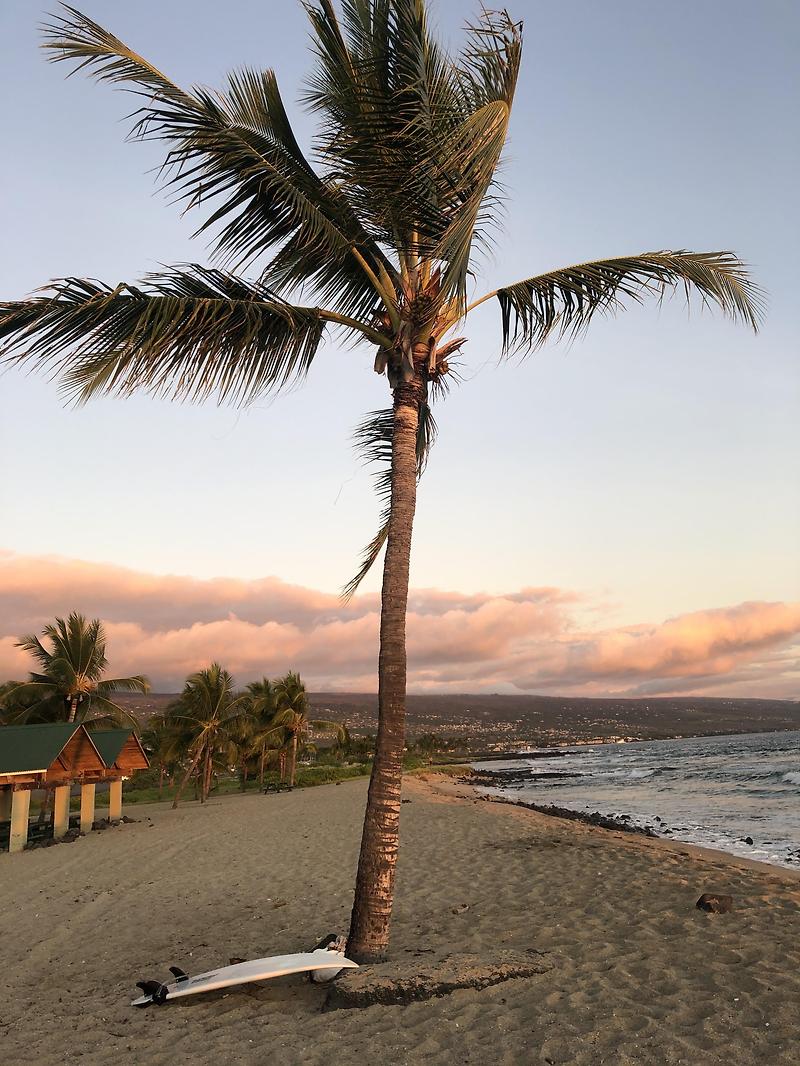 [하와이] 코나 맛집 Big Island Grill & 올드에어포트 - 새벽이의 새벽 나들이