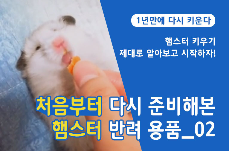 햄스터 추천하는 장난감과 추천하지 않는 장난감