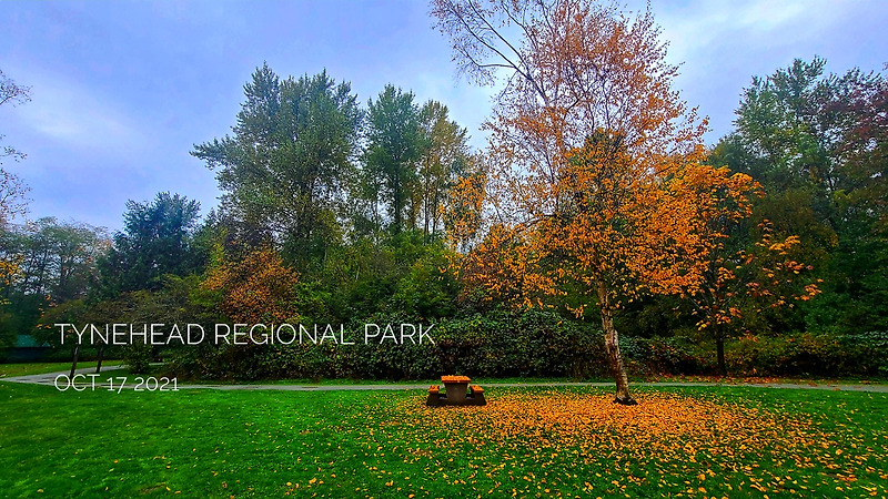 Tynehead regional park