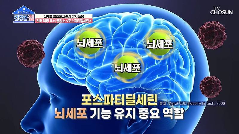 포스파티딜세린 뜻 효능 부작용 두뇌엔닥터ps70