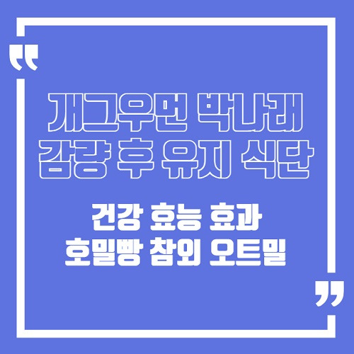 박나래 감량 후 유지 식단 : 호밀빵 참외 오트밀 효능 효과