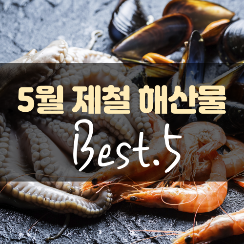 5월 제철 해산물 : 5월에 즐기기 딱 좋은 해산물 Best 5!