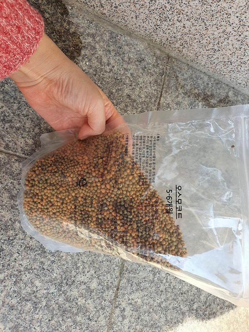 오스모코트 식물 영양제 써본 후기