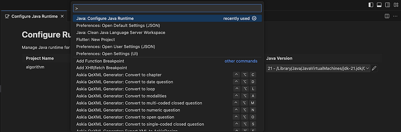 Error: the java.jdt.ls.java.home variable defined in visual studio code ...