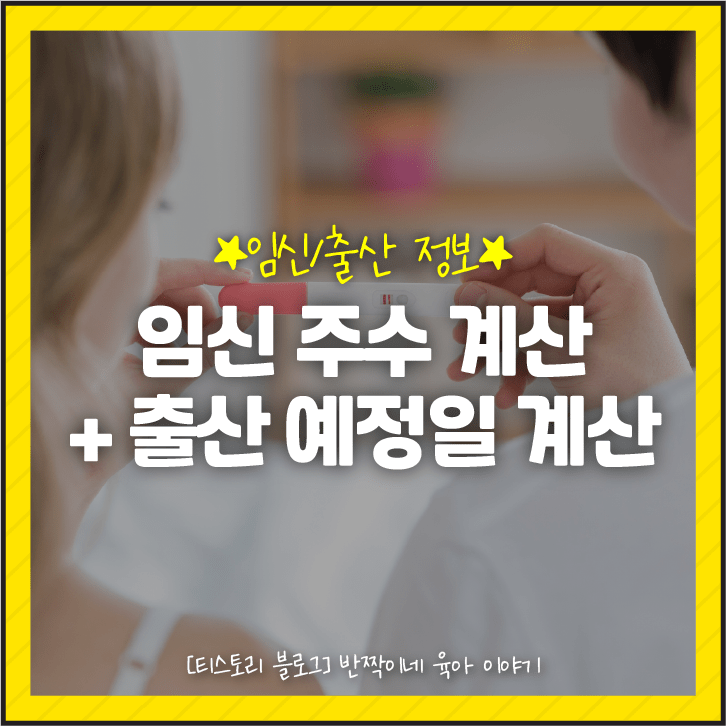 임신 주수 계산기(사용법)+출산 예정일 계산