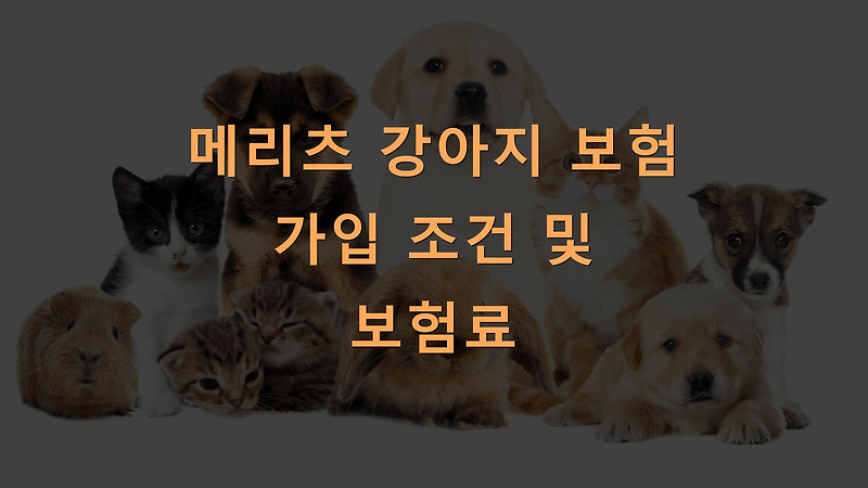 메리츠 강아지 보험 가입 조건 및 보험료