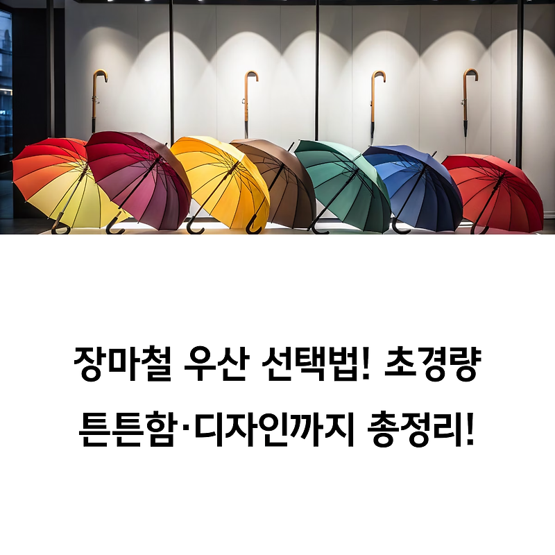 장마철 우산 선택법! 초경량·튼튼함·디자인까지 모두 잡았다! (+ 장우산, 자동 우산, 우양산, 투명 우산, 3단 우산, 편의점 ...