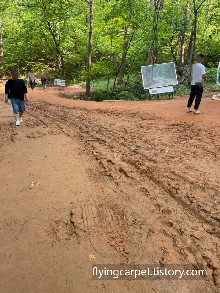 초보자도 쉽게 즐기는 계족산 황톳길 맨발 트레킹 가이드