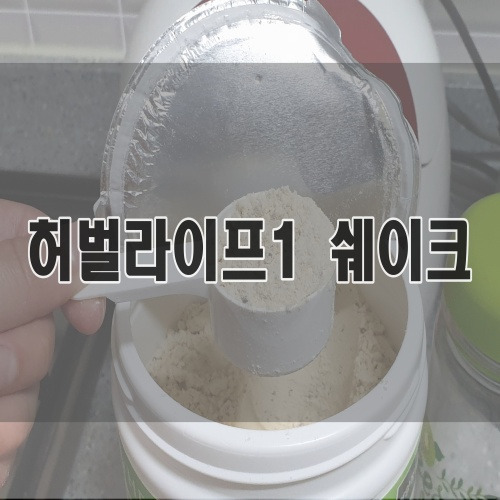 허벌라이프 쉐이크 먹는법 쿠키앤크림맛 후기 :D :: 홍이빵야