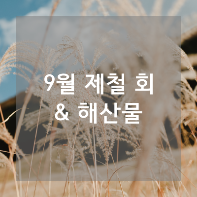 9월 제철 횟감 회, 9월 제철 해산물 - AllisHere