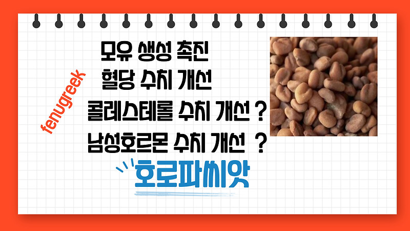 호로파(fenugreek) 효능 부작용 하루 권장량