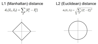 L1, L2 Norm, Loss, Regularization?