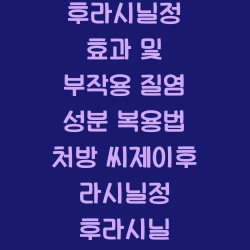 후라시닐정 효과 및 부작용 질염 성분 복용법 처방 씨제이후라시닐정 후라시닐 모든것들