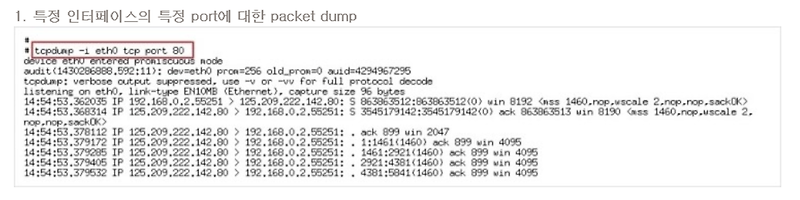 [리눅스] Linux tcpdump 명령어 사용법 정리