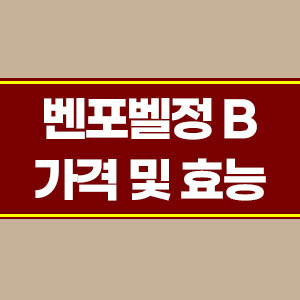 종근당 벤포벨정 B가격 및 효능 - 정보학창고