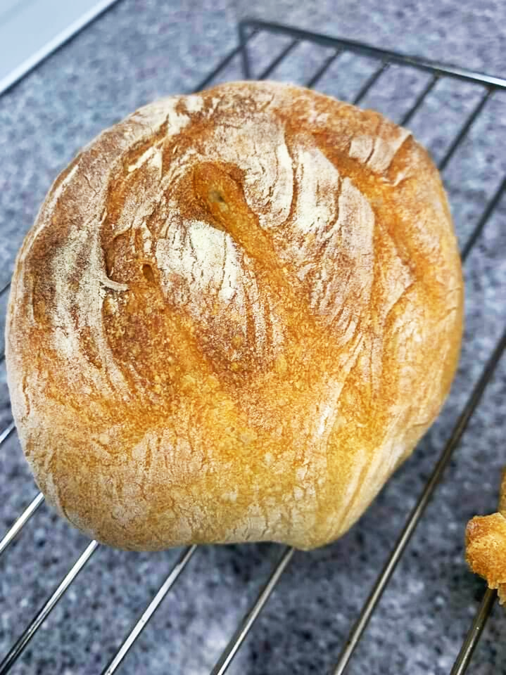 초보베이킹, 통밀빵 만들기 100%통밀빵 만들기