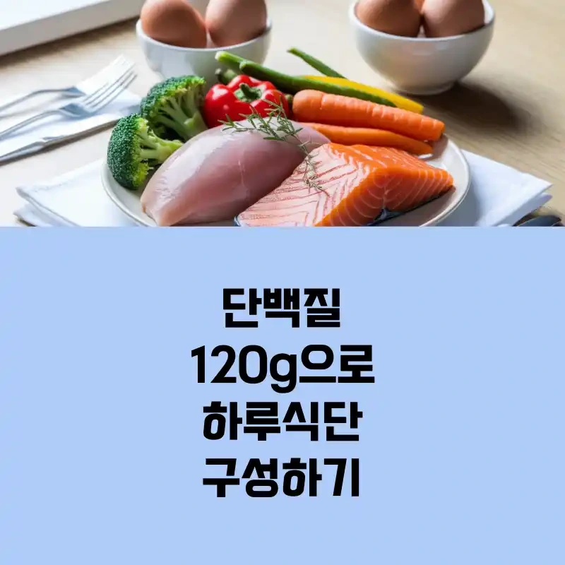 단백질 120g으로 하루 식단 구성하기 ? 식욕까지 잡는 고단백 식사 루틴