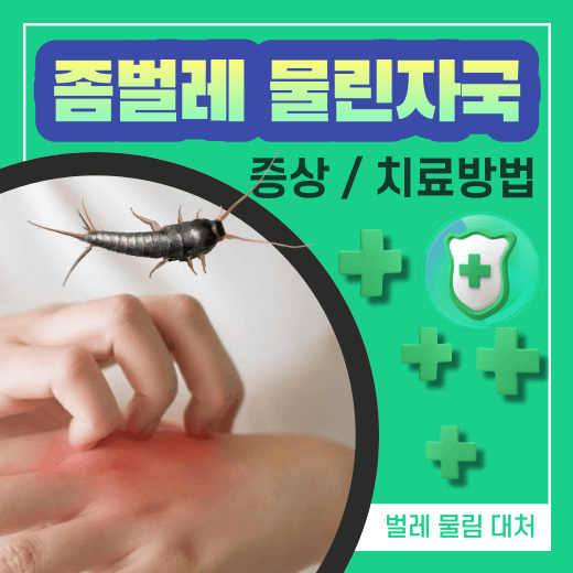 좀벌레 물린자국 증상 / 치료 방법 [벌레 물림 대처 방법]
