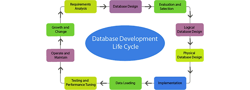 Requirement Analysis and Database Design