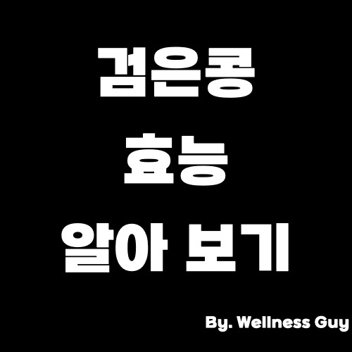검은콩 효능 및 부작용