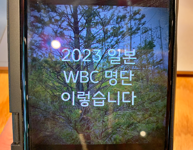 일본 WBC 명단, 오타니 쇼헤이 쏠리는 관심