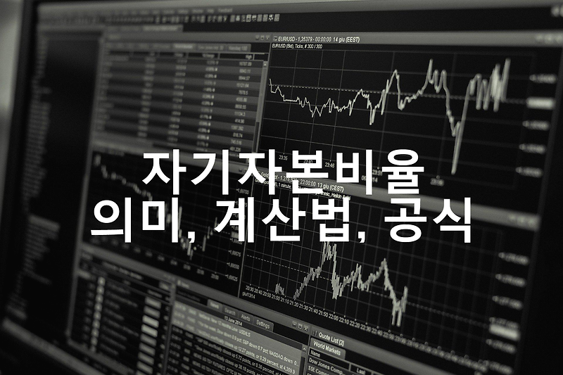 자기자본비율 계산법 공식 초간단 정리(재무제표 보는법)