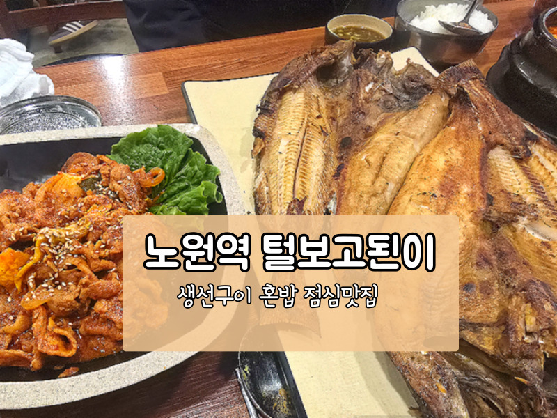 [노원역 혼밥 맛집] 건강한 고등어구이 털보고된이에서 점심 한 끼!