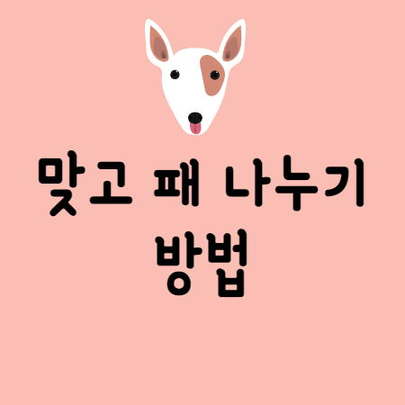 맞고 패나누기 방법