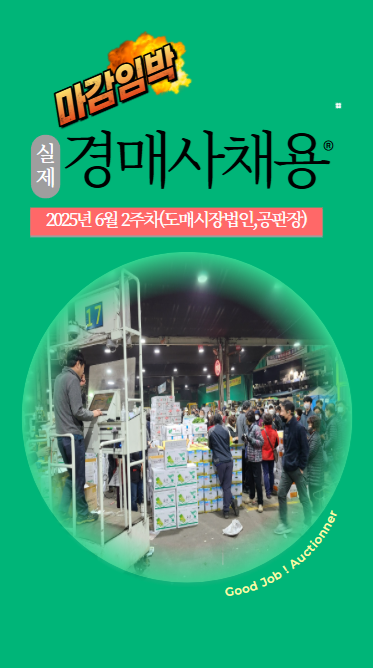 2025년 6월 2주차에는 어디서 경매사를 뽑지?