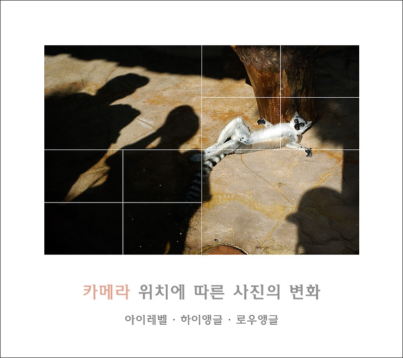사진의 각도