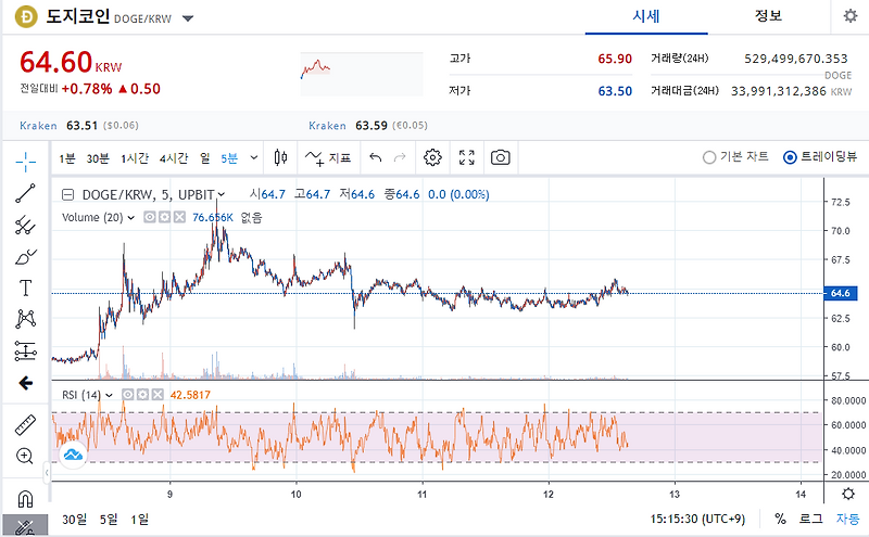 도지코인 정보 및 전망 한번보자