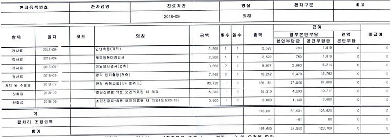 망막열개가 있는 망막박리로 수술/실비보험청구 수술비청구