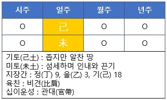 [사주명리] 기미일주(己未日柱)