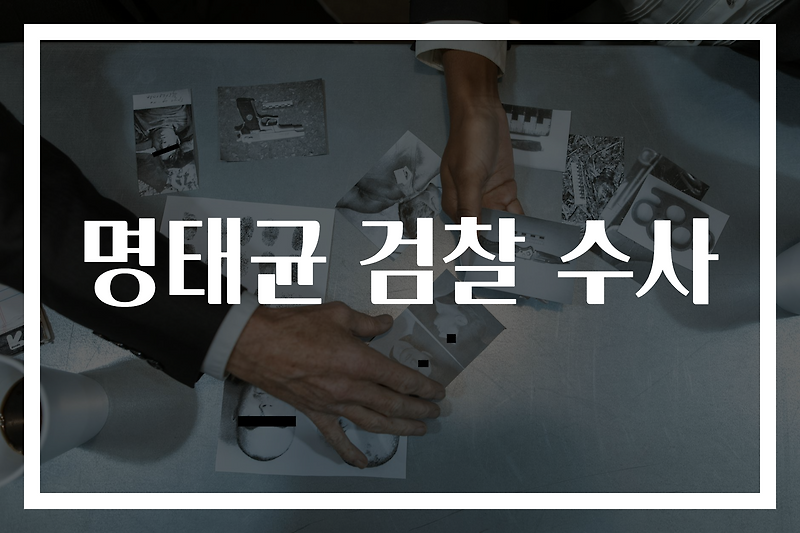 이슈, <b>명태균 검찰 수사</b>