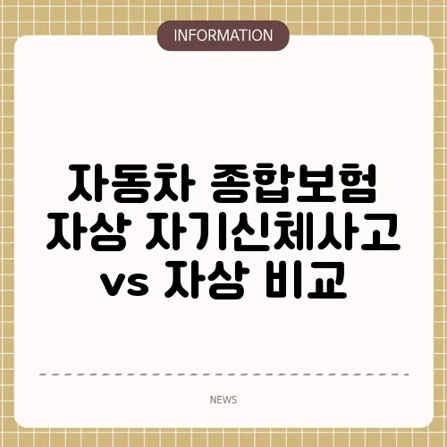 자동차 종합보험 자상 자기신체사고 vs 자상 비교