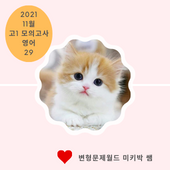 목동 미키박쌤의 2021년 11월 고1모의고사 29번 분석 및 변형문제(무료)