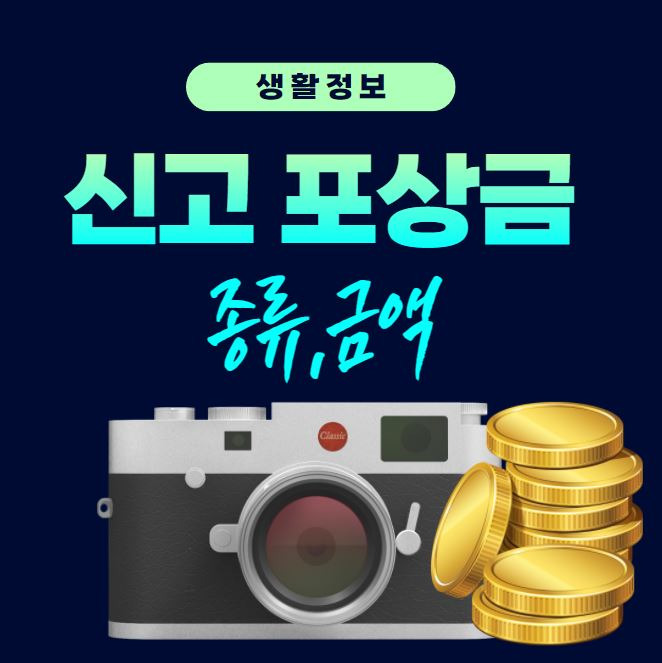 신고 포상금 종류 21가지(보상금 제도 확인하기)